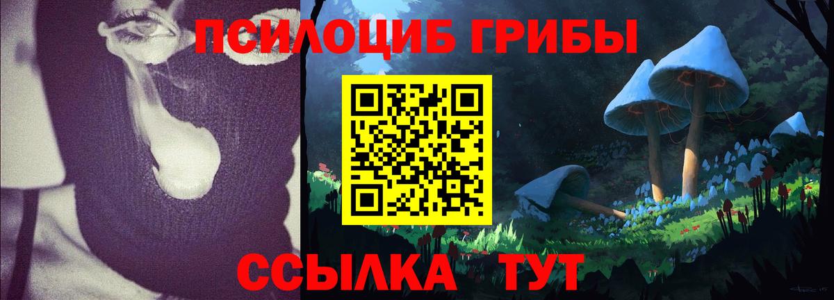 Галлюциногенные грибы прущие грибы Сухой Лог
